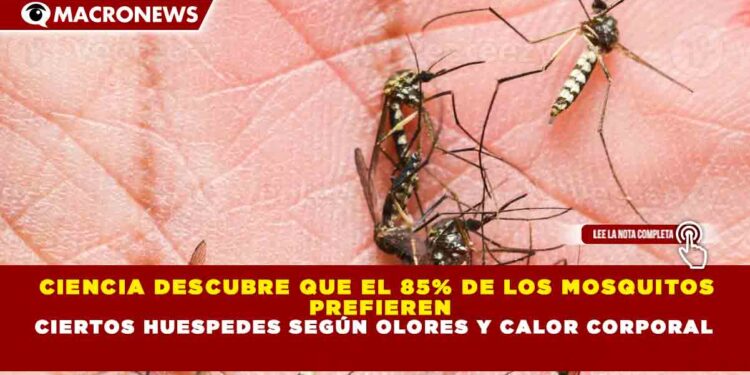 CIENCIA DESCUBRE QUE EL 85% DE LOS MOSQUITOS PREFIEREN CIERTOS HUESPEDES SEGÚN OLORES Y CALOR CORPORAL