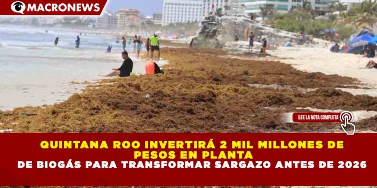 QUINTANA ROO INVERTIRÁ 2 MIL MILLONES DE PESOS EN PLANTA DE BIOGÁS PARA TRANSFORMAR SARGAZO ANTES DE 2026