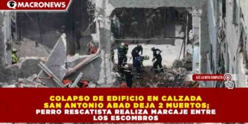 COLAPSO DE EDIFICIO EN CALZADA SAN ANTONIO ABAD DEJA 2 MUERTOS; PERRO RESCATISTA REALIZA MARCAJE ENTRE LOS ESCOMBROS