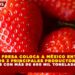 LA FRESA COLOCA A MÉXICO ENTRE LOS 3 PRINCIPALES PRODUCTORES MUNDIALES CON MÁS DE 600 MIL TONELADAS ANUALES