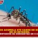 MÉXICO ACUMULA 973 CASOS DE DENGUE  EN 23 ESTADOS; 80% DE CONTAGIOS SE CONCENTRA EN 5 ENTIDADES