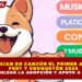ANUNCIAN EN CANCÚN EL PRIMER ADOPTA FEST Y CROQUETÓN 2026 PARA IMPULSAR LA ADOPCIÓN Y APOYO A MASCOTAS