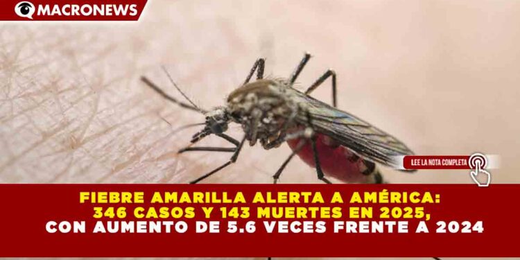 FIEBRE AMARILLA ALERTA A AMÉRICA: 346 CASOS Y 143 MUERTES EN 2025, CON AUMENTO DE 5.6 VECES FRENTE A 2024