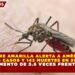 FIEBRE AMARILLA ALERTA A AMÉRICA: 346 CASOS Y 143 MUERTES EN 2025, CON AUMENTO DE 5.6 VECES FRENTE A 2024
