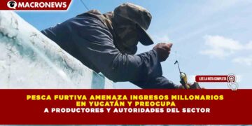 PESCA FURTIVA AMENAZA INGRESOS MILLONARIOS  EN YUCATÁN Y PREOCUPA  A PRODUCTORES Y AUTORIDADES DEL SECTOR