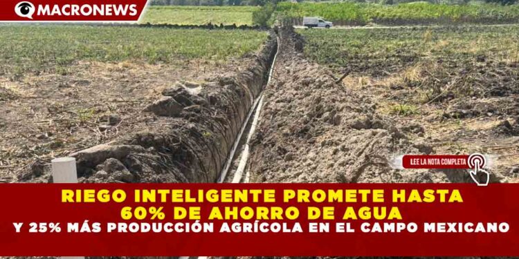 RIEGO INTELIGENTE PROMETE HASTA 60% DE AHORRO DE AGUA Y 25% MÁS PRODUCCIÓN AGRÍCOLA EN EL CAMPO MEXICANO