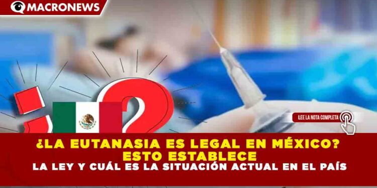 ¿LA EUTANASIA ES LEGAL EN MÉXICO? ESTO ESTABLECE LA LEY Y CUÁL ES LA SITUACIÓN ACTUAL EN EL PAÍS