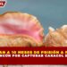 CONDENAN A 10 MESES DE PRISIÓN A PESCADOR EN CANCÚN POR CAPTURAR CARACOL EN VEDA