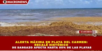 ALERTA MÁXIMA EN PLAYA DEL CARMEN: RECALÉ HISTÓRICO DE SARGAZO AFECTA HASTA 80% DE LAS PLAYAS
