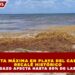 ALERTA MÁXIMA EN PLAYA DEL CARMEN: RECALÉ HISTÓRICO DE SARGAZO AFECTA HASTA 80% DE LAS PLAYAS