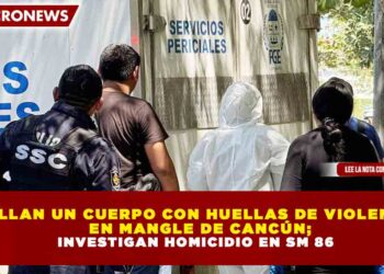 HALLAN UN CUERPO CON HUELLAS DE VIOLENCIA EN MANGLE DE CANCÚN; INVESTIGAN HOMICIDIO EN SM 86