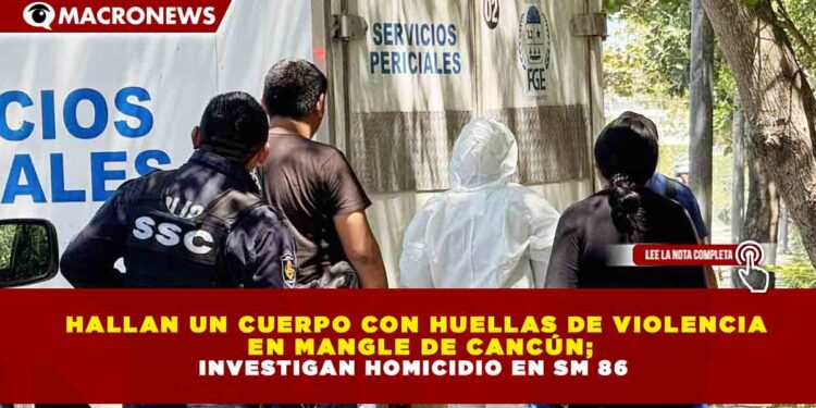 HALLAN UN CUERPO CON HUELLAS DE VIOLENCIA EN MANGLE DE CANCÚN; INVESTIGAN HOMICIDIO EN SM 86