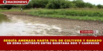 SEQUÍA AMENAZA HASTA 70% DE CULTIVOS Y GANADO  EN ZONA LIMÍTROFE ENTRE QUINTANA ROO Y CAMPECHE