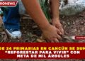 MÁS DE 24 PRIMARIAS EN CANCÚN SE SUMAN A “REFORESTAR PARA VIVIR” CON META DE MIL ÁRBOLES