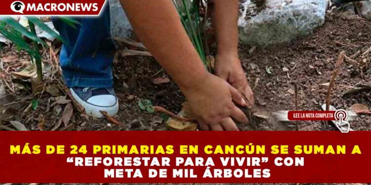 MÁS DE 24 PRIMARIAS EN CANCÚN SE SUMAN A “REFORESTAR PARA VIVIR” CON META DE MIL ÁRBOLES