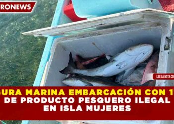 ASEGURA MARINA EMBARCACIÓN CON 115 KG DE PRODUCTO PESQUERO ILEGAL EN ISLA MUJERES