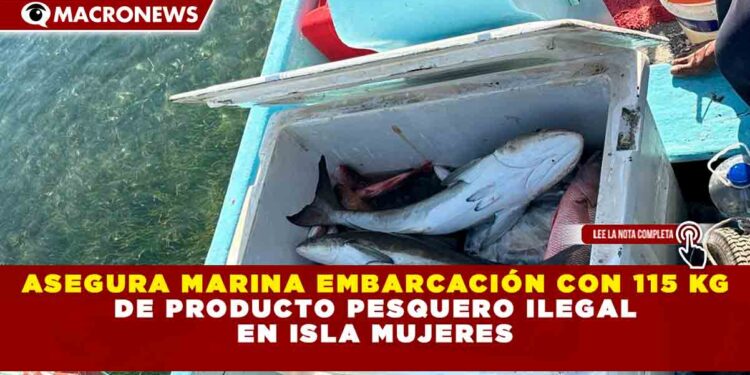 ASEGURA MARINA EMBARCACIÓN CON 115 KG DE PRODUCTO PESQUERO ILEGAL EN ISLA MUJERES