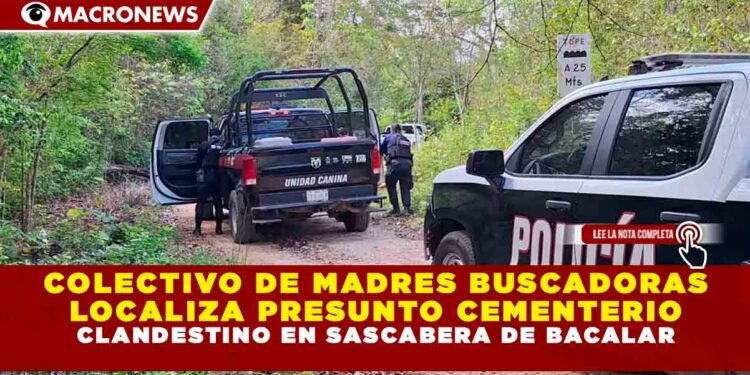 COLECTIVO DE MADRES BUSCADORAS LOCALIZA PRESUNTO CEMENTERIO CLANDESTINO EN SASCABERA DE BACALAR