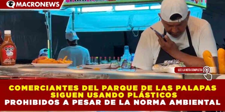 COMERCIANTES DEL PARQUE DE LAS PALAPAS SIGUEN USANDO PLÁSTICOS PROHIBIDOS A PESAR DE LA NORMA AMBIENTAL