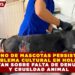 ABANDONO DE MASCOTAS PERSISTE COMO PROBLEMA CULTURAL EN HOLBOX; ALERTAN SOBRE FALTA DE DENUNCIAS Y CRUELDAD ANIMAL