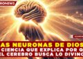LAS NEURONAS DE DIOS: LA CIENCIA QUE EXPLICA POR QUÉ EL CEREBRO BUSCA LO DIVINO