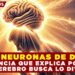 LAS NEURONAS DE DIOS: LA CIENCIA QUE EXPLICA POR QUÉ EL CEREBRO BUSCA LO DIVINO