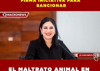 LA ALCALDESA ESTEFANÍA MERCADO FIRMA INICIATIVA PARA SANCIONAR EL MALTRATO ANIMAL EN PLAYA DEL CARMEN