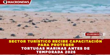 SECTOR TURÍSTICO RECIBE CAPACITACIÓN PARA PROTEGER TORTUGAS MARINAS ANTES DE TEMPORADA 2026