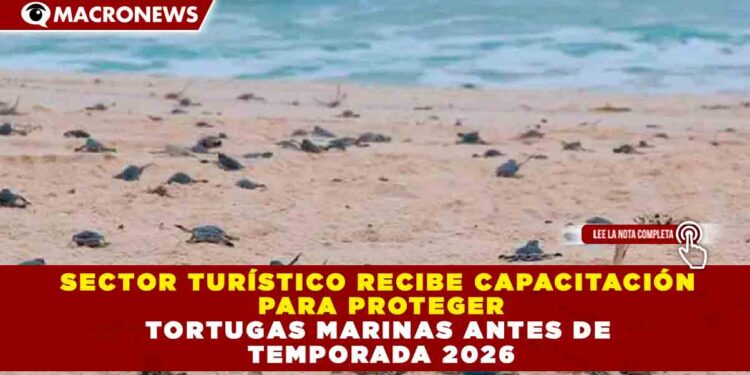 SECTOR TURÍSTICO RECIBE CAPACITACIÓN PARA PROTEGER TORTUGAS MARINAS ANTES DE TEMPORADA 2026