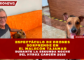 BUSCAN A «ARTEMISA»: DENUNCIAN DESAPARICIÓN DE PERRITA ADOPTADA EN PLAYA DEL CARMEN; EL ADOPTANTE SE NIEGA A DAR INFORMACIÓN