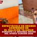 BUSCAN A «ARTEMISA»: DENUNCIAN DESAPARICIÓN DE PERRITA ADOPTADA EN PLAYA DEL CARMEN; EL ADOPTANTE SE NIEGA A DAR INFORMACIÓN