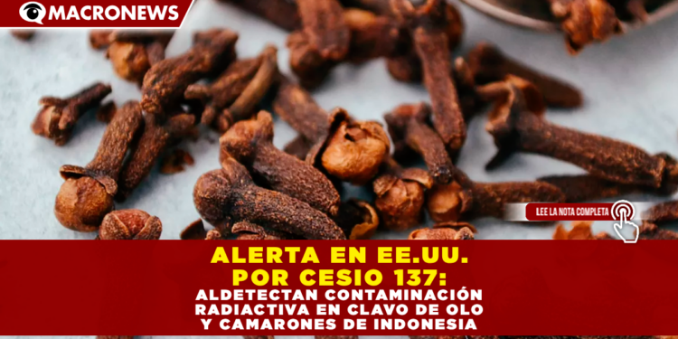 ALERTA EN EE. UU. POR CESIO 137: FDA DETECTA CONTAMINACIÓN RADIACTIVA EN CLAVO DE OLOR Y CAMARONES DE INDONESIA