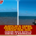 ALERTA EN EL CARIBE: PRONOSTICAN 75% MÁS SARGAZO PARA 2026; CANCÚN INICIA BATALLA CONTRA LA MACROALGA