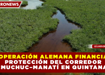 COOPERACIÓN ALEMANA FINANCIARÁ PROTECCIÓN DEL CORREDOR CHACMUCHUC–MANATÍ EN QUINTANA ROO