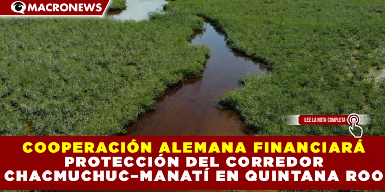 COOPERACIÓN ALEMANA FINANCIARÁ PROTECCIÓN DEL CORREDOR CHACMUCHUC–MANATÍ EN QUINTANA ROO