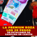 LA PREMIUM ROZA LOS 29 PESOS EN ESTACIONES DE GASOLINA EN CANCÚN