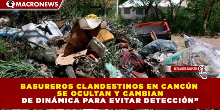 BASUREROS CLANDESTINOS EN CANCÚN SE OCULTAN Y CAMBIAN DE DINÁMICA PARA EVITAR DETECCIÓN