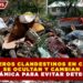 BASUREROS CLANDESTINOS EN CANCÚN SE OCULTAN Y CAMBIAN DE DINÁMICA PARA EVITAR DETECCIÓN