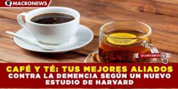 CAFÉ Y TÉ: TUS MEJORES ALIADOS CONTRA LA DEMENCIA SEGÚN UN NUEVO ESTUDIO DE HARVARD
