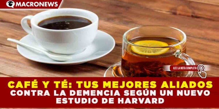CAFÉ Y TÉ: TUS MEJORES ALIADOS CONTRA LA DEMENCIA SEGÚN UN NUEVO ESTUDIO DE HARVARD