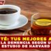 CAFÉ Y TÉ: TUS MEJORES ALIADOS CONTRA LA DEMENCIA SEGÚN UN NUEVO ESTUDIO DE HARVARD