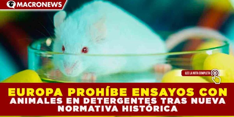 EUROPA PROHÍBE ENSAYOS CON ANIMALES EN DETERGENTES TRAS NUEVA NORMATIVA HISTÓRICA