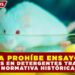 EUROPA PROHÍBE ENSAYOS CON ANIMALES EN DETERGENTES TRAS NUEVA NORMATIVA HISTÓRICA