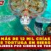 MÁS DE 12 MIL CRÍAS DE TORTUGA EN RIESGO EN ISLA MUJERES POR CIERRE DE TORTUGRANJA