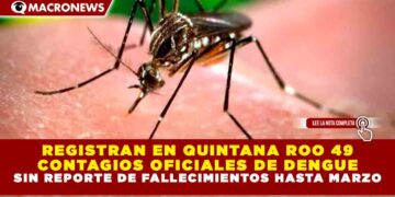 REGISTRAN EN QUINTANA ROO 49 CONTAGIOS OFICIALES DE DENGUE SIN REPORTE DE FALLECIMIENTOS HASTA MARZO