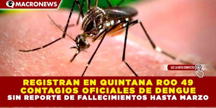 REGISTRAN EN QUINTANA ROO 49 CONTAGIOS OFICIALES DE DENGUE SIN REPORTE DE FALLECIMIENTOS HASTA MARZO