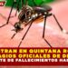 REGISTRAN EN QUINTANA ROO 49 CONTAGIOS OFICIALES DE DENGUE SIN REPORTE DE FALLECIMIENTOS HASTA MARZO