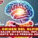 EL ORIGEN DEL OLVIDO: LA SALUD INTESTINAL INFLUYE DIRECTAMENTE EN LA PÉRDIDA DE MEMORIA