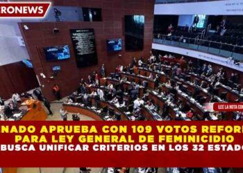 SENADO APRUEBA CON 109 VOTOS REFORMA PARA LEY GENERAL DE FEMINICIDIO Y BUSCA UNIFICAR CRITERIOS EN LOS 32 ESTADOS