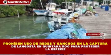 PROHÍBEN USO DE REDES Y GANCHOS EN LA CAPTURA DE LANGOSTA EN QUINTANA ROO PARA PROTEGER LA ESPECIE